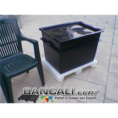 Export Box Inseribile 60x80 h.55 cm Cassa di Plastica  Litri 200  Fornita con Coperchio. Pareti completamente chiuse. Dotato di maniglie esterne per la presa Kg 9,8